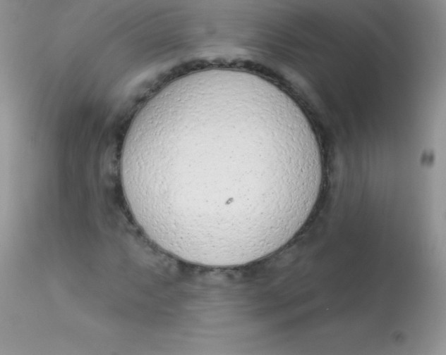 X0000113101063200909182132