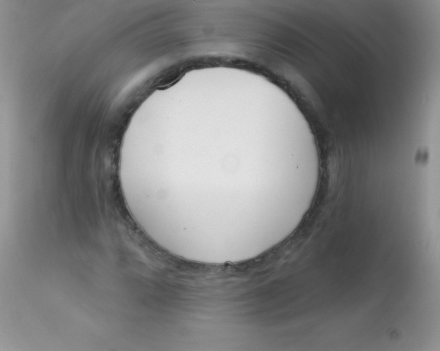 X0000113101064200909182132