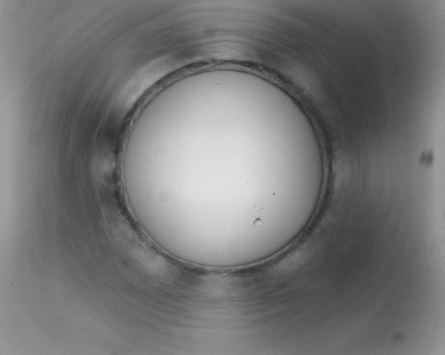 X0000113101065200909182132