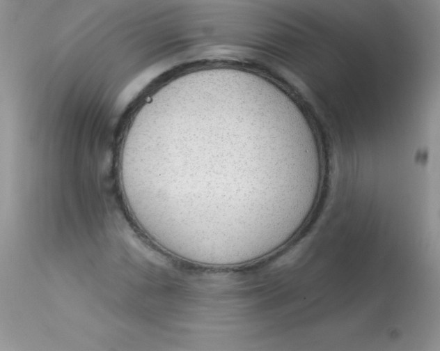 X0000113101066200909182132