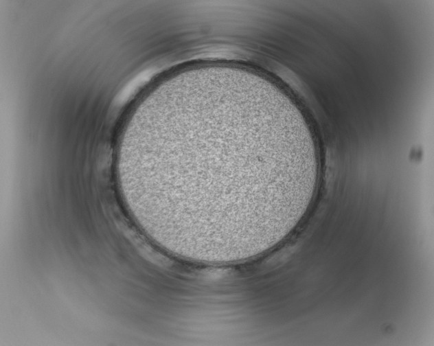 X0000113101067200909182132