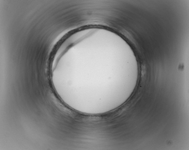 X0000113101068200909182132