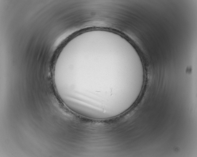 X0000113101070200909182132