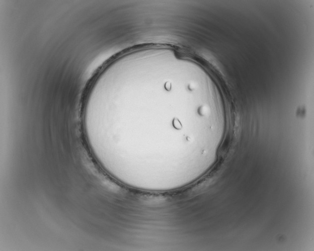 X0000113101071200909182132