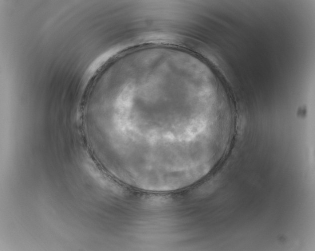 X0000113101074200909182132