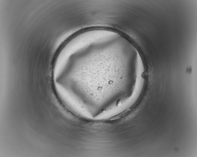 X0000113101077200909182132