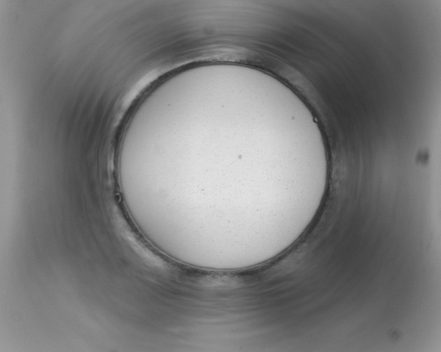X0000113101083200909182132