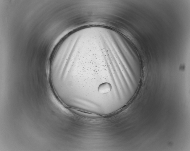 X0000113101084200909182132