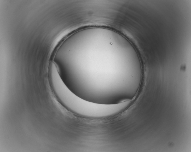 X0000113101085200909182132