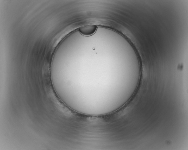 X0000113101089200909182132