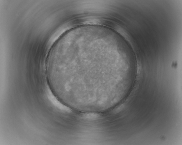X0000113101090200909182132