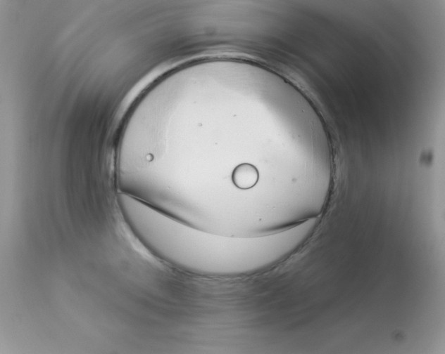 X0000113101092200909182132