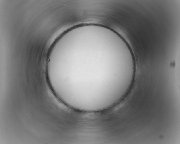 X0000113101093200909182132