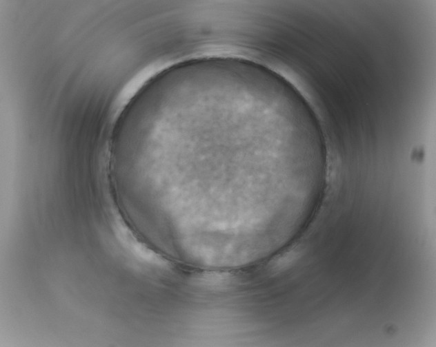 X0000113101094200909182132