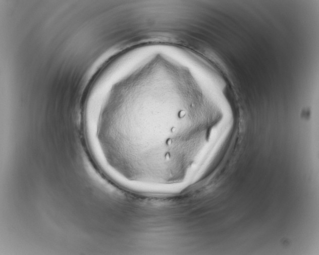 X0000113101095200909182132