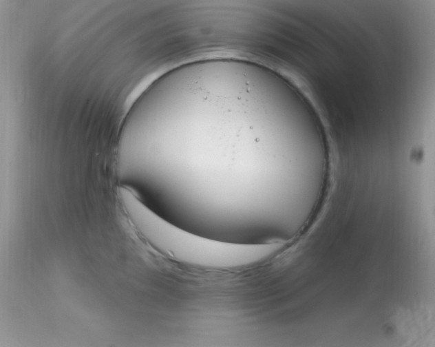 X0000113101097200909182132