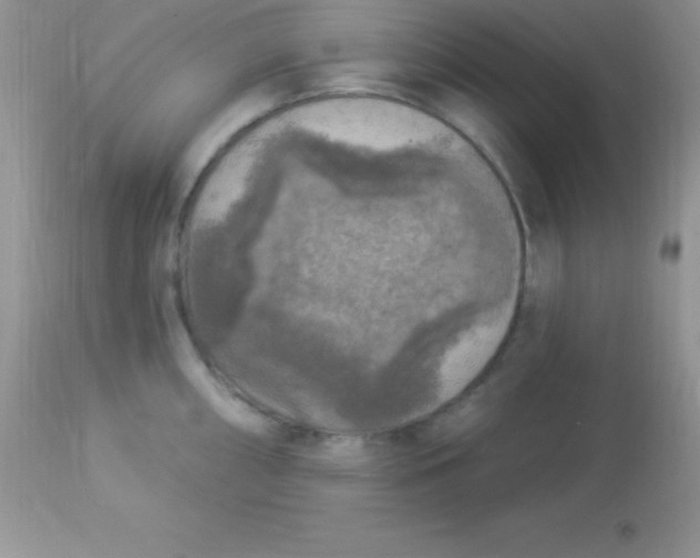 X0000113101098200909182132
