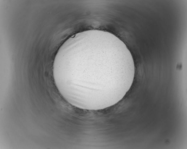 X0000113101105200909182131