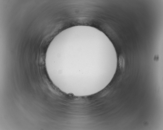 X0000113101107200909182131
