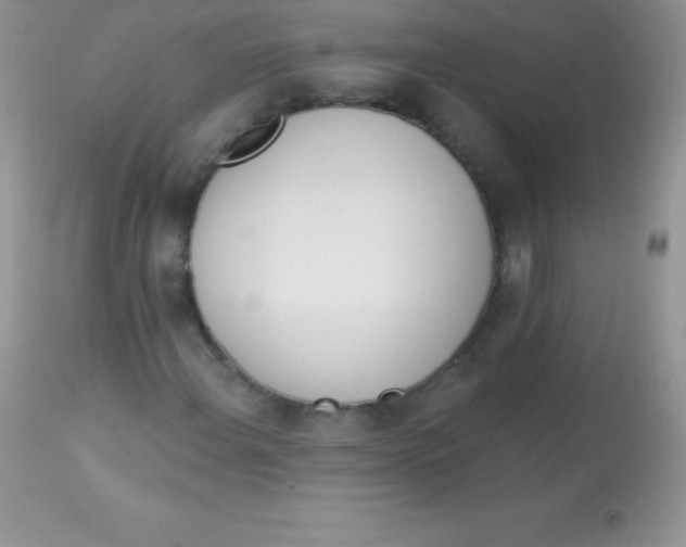 X0000113101108200909182131