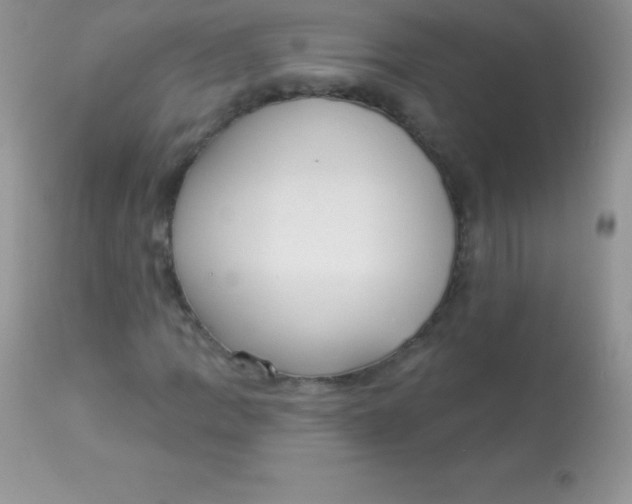 X0000113101109200909182131