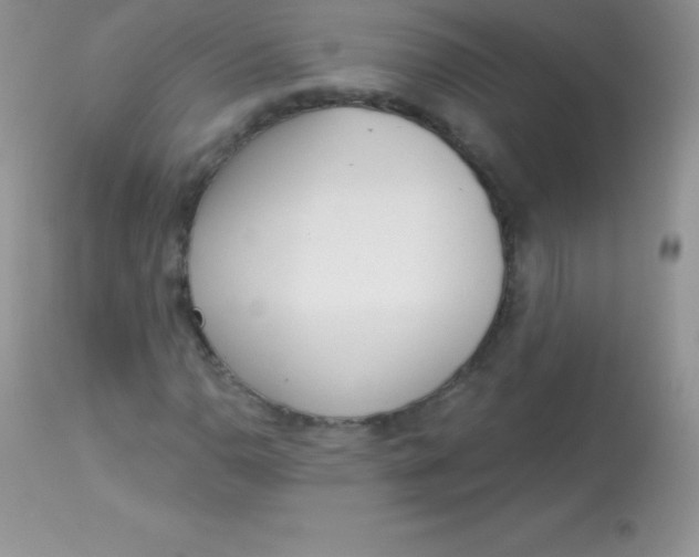 X0000113101110200909182131