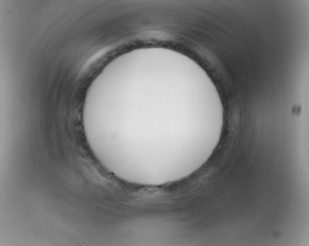 X0000113101112200909182131