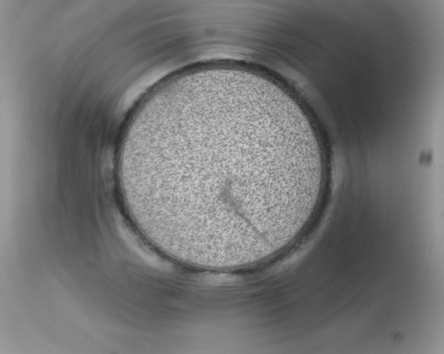 X0000113101113200909182131
