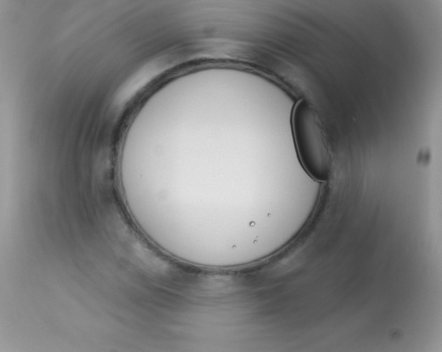 X0000113101114200909182131