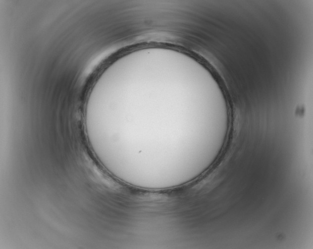 X0000113101115200909182131