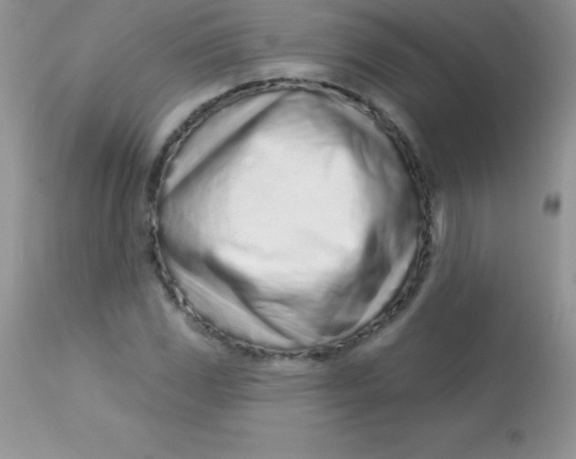 X0000113101117200909182131