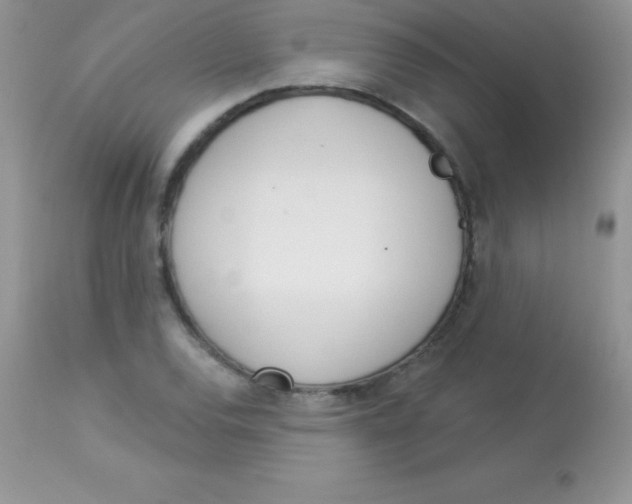 X0000113101120200909182131