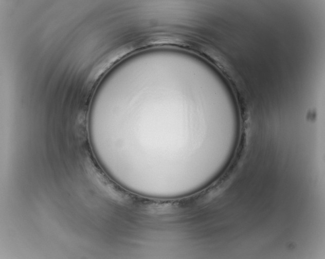 X0000113101121200909182131