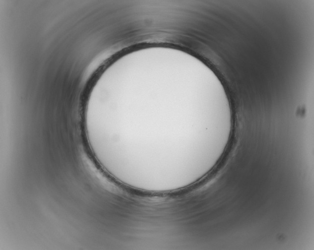 X0000113101122200909182131