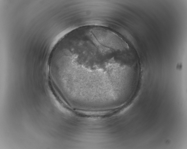 X0000113101125200909182132