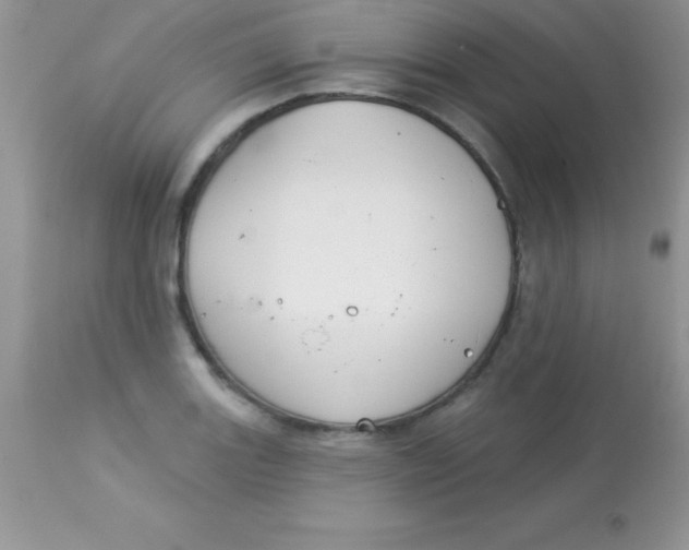 X0000113101131200909182132