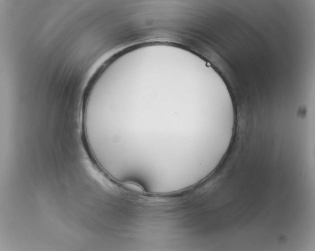 X0000113101132200909182132