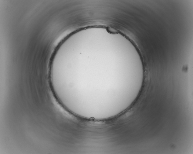X0000113101135200909182132