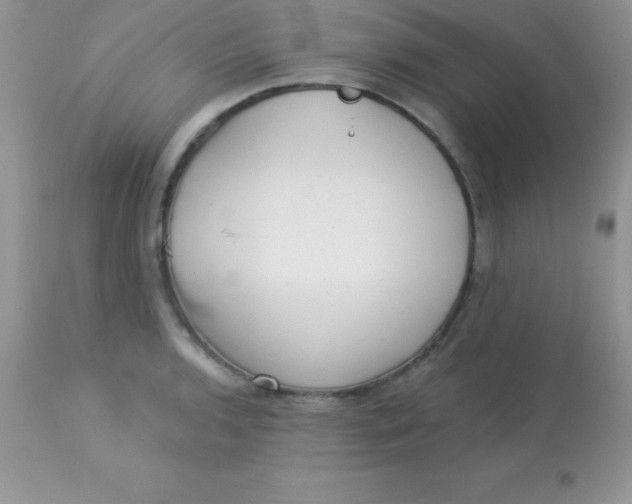 X0000113101136200909182132