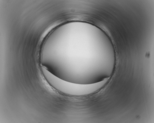 X0000113101138200909182132
