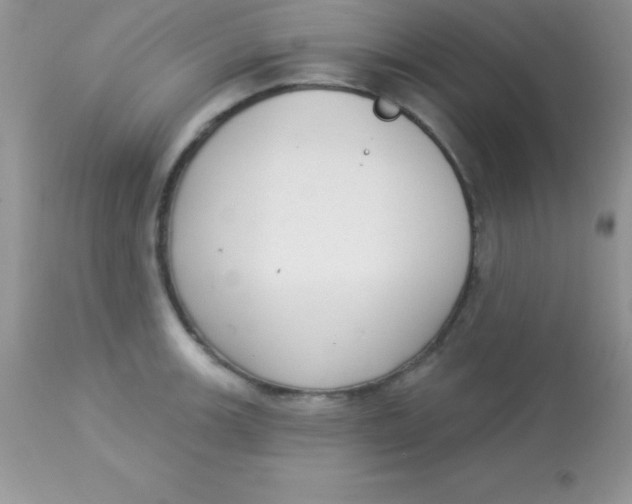 X0000113101139200909182132