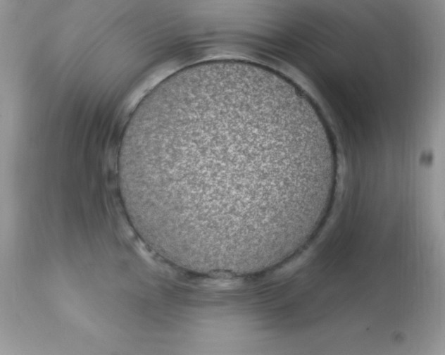 X0000113101145200909182132