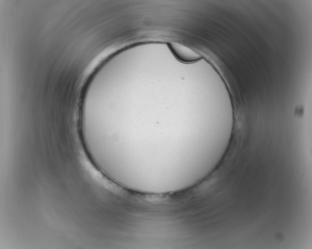 X0000113101147200909182132