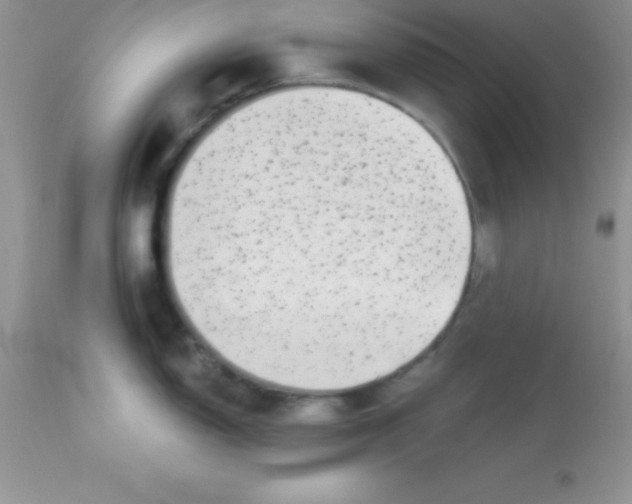 X0000113101150200909182132
