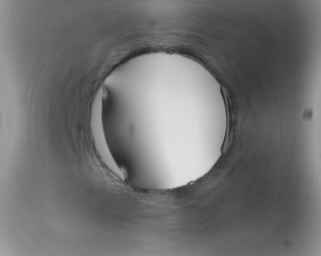 X0000113101153200909182131