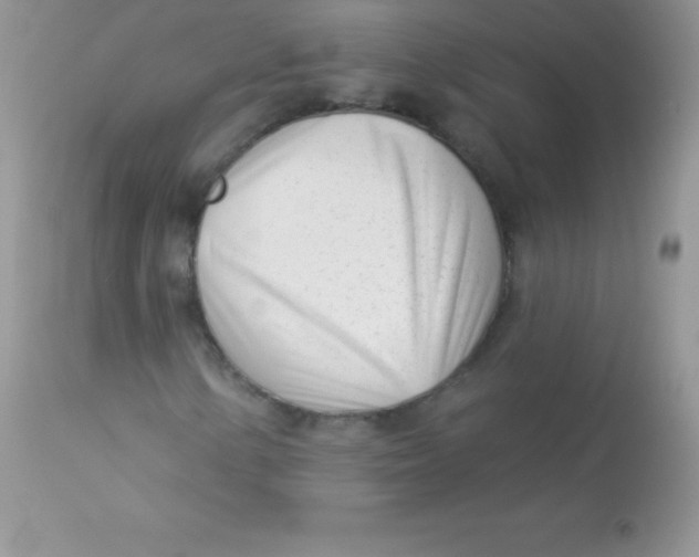 X0000113101154200909182131