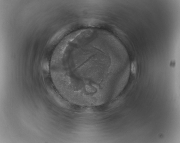 X0000113101155200909182131