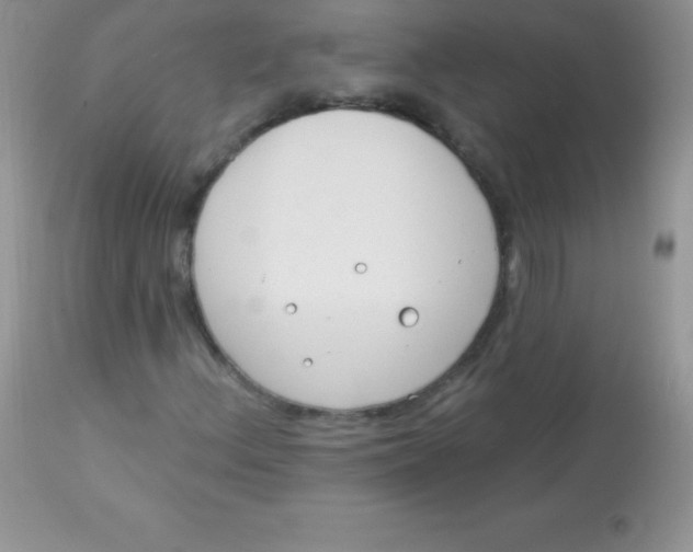 X0000113101156200909182131