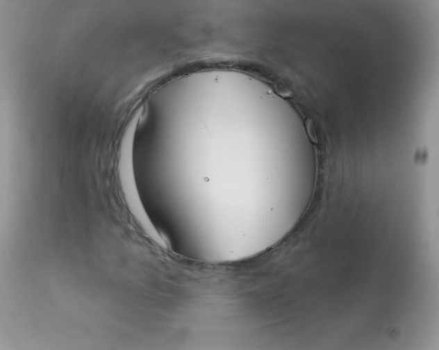 X0000113101157200909182131
