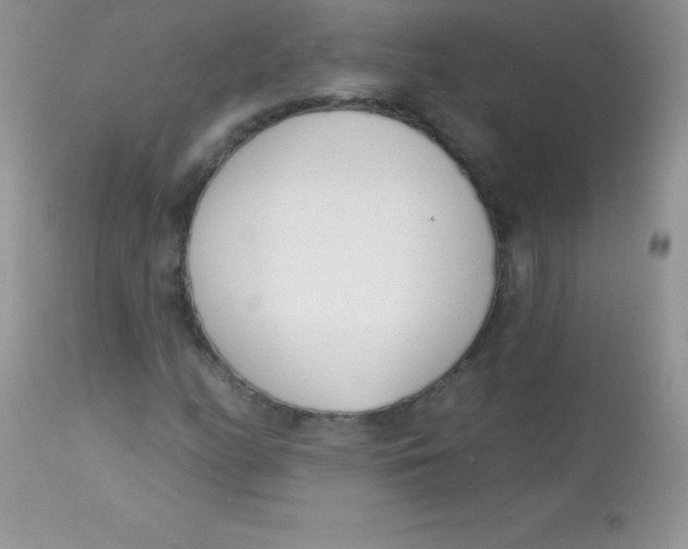 X0000113101158200909182131